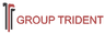 Trident (India) Private Limited logo
