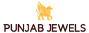 Punjab Retail Private Limited logo